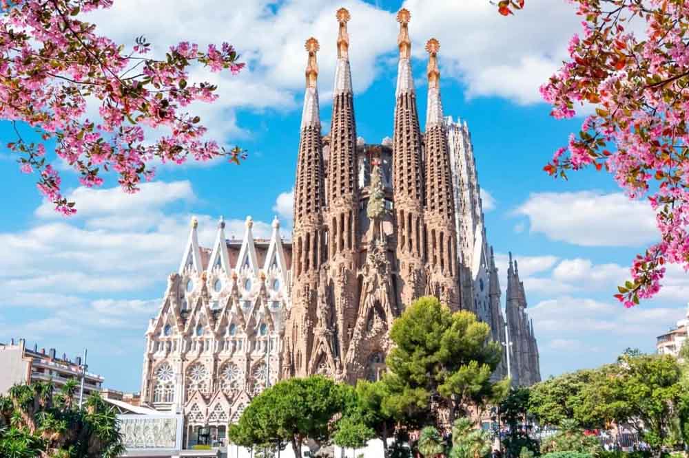Sagrada Familia in Barcelona under a bright blue sky, framed by blooming pink flowers and lush green trees. The scene is vibrant and majestic.