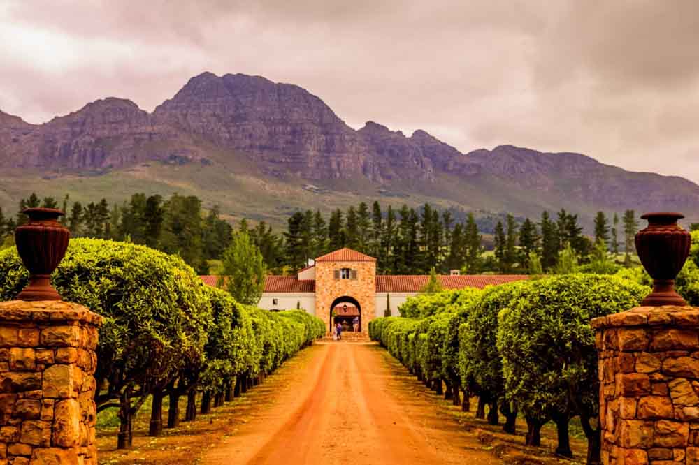 A serene vineyard entrance under cloudy skies, with lush green rows of grapevines leading to a rustic stone building, set against majestic mountains.