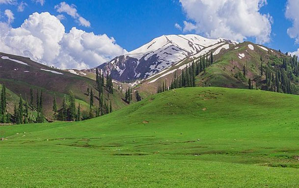 Meadows of the Siri Paye Tour Packages 2026 - Trips.pk